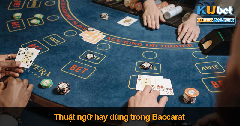 Thuật ngữ hay dùng khi chơi Baccarat